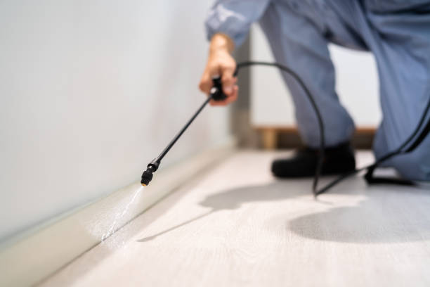 Licensed Pest Control service in Harwood Heights, IL - Show Me Pest Control