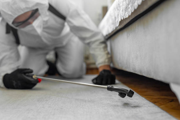 Professional Ant Control technician working in Harwood Heights, IL